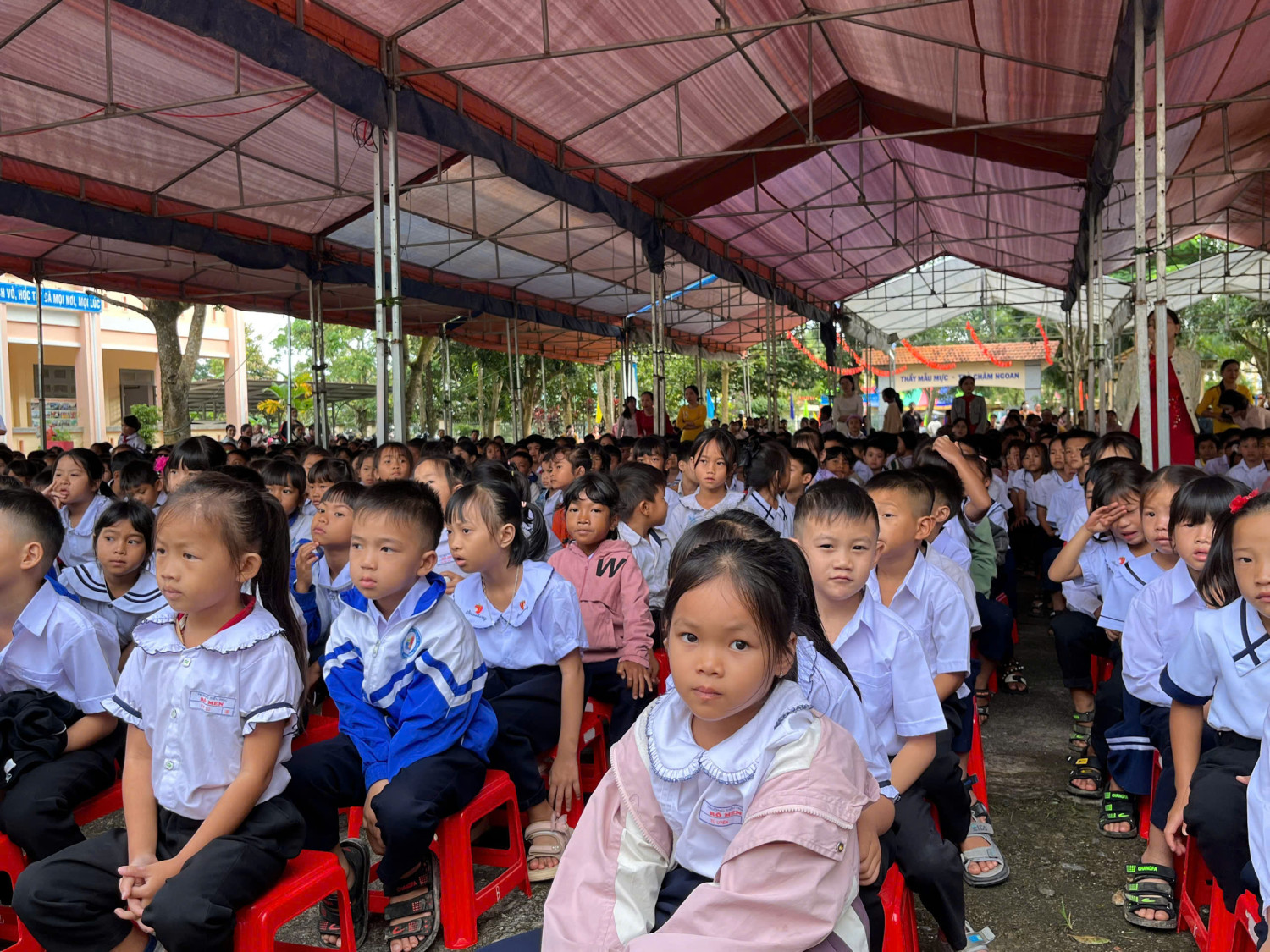 z6978248995489 bbb182c5ce181b3553bd869c46ba1621