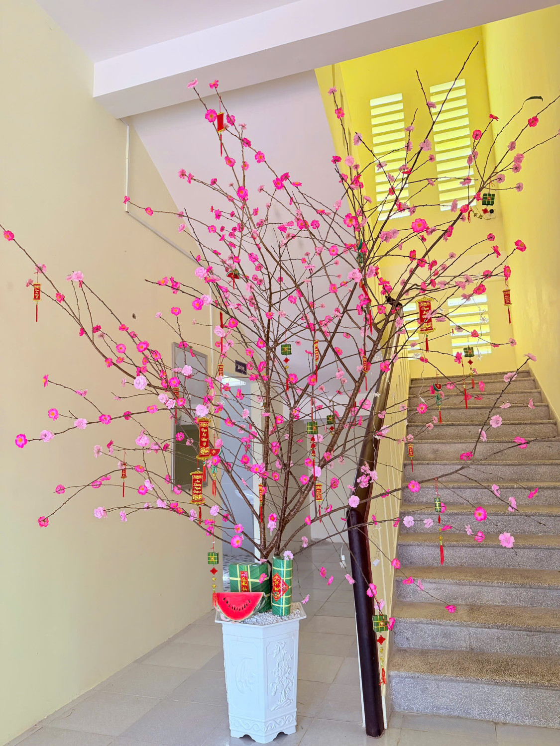 RỘN RÀNG SẮC XUÂN: ĐOÀN THANH NIÊN TRƯỜNG TIỂU HỌC RÔ MEN TRANG TRÍ CÂY HOA ĐÀO ĐÓN TẾT NGUYÊN ĐÁN 2026